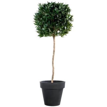 LAURIER artificiel BOULE LUXE sur TIGE 185 cm