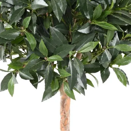 LAURIER artificiel BOULE LUXE sur TIGE 150 à 185 cm - feuilles et tronc