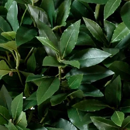 LAURIER artificiel BOULE LUXE diam 25 à 130 cm - feuilles