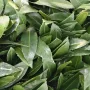 HAIE artificielle LAURIER Hauteur 100 cm Largeur 110 cm - feuilles
