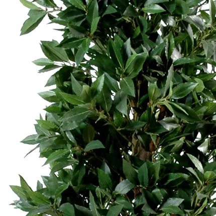 LAURIER artificiel PYRAMIDE LUXE  180 cm - feuilles