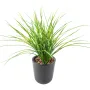 Herbe JUNCUS artificielle 50 cm - en pot