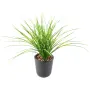 Herbe JUNCUS artificielle 50 cm