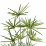 PAPYRUS artificiel ALTERNIFOLIUS 90 à 180 cm - détails