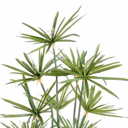 PAPYRUS artificiel ALTERNIFOLIUS 90 à 180 cm - détails