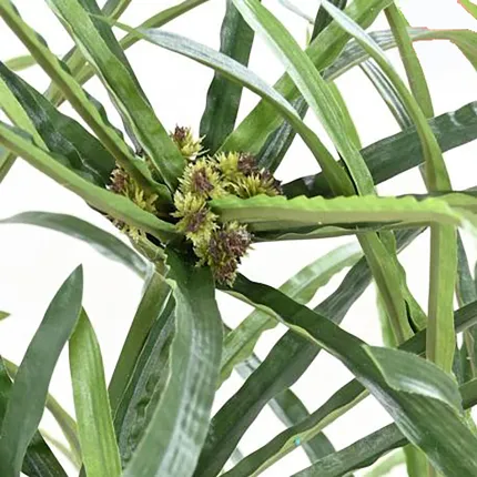 PAPYRUS artificiel ALTERNIFOLIUS large 100 et 130 cm - détails