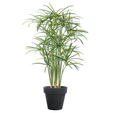 PAPYRUS artificiel ALTERNIFOLIUS large 130 cm - en pot