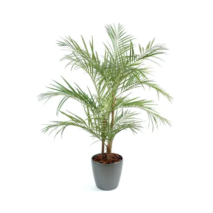 ARECA artificiel PALM 3 troncs 170 et 220 cm dans un pot rond