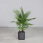 PALMIER artificiel ARECA baby 95 cm en pot déco au sol