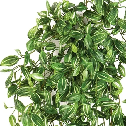 TRADESCANTIA artificiel 95 cm - feuilles