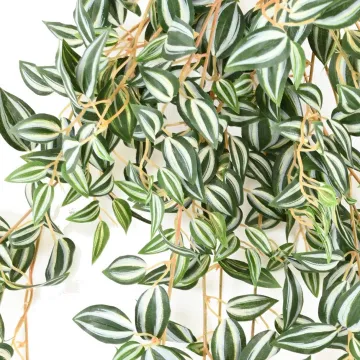 TRADESCANTIA artificiel vert 70 et 110 cm - feuilles