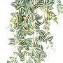 TRADESCANTIA artificiel vert 70 et 110 cm - feuillage