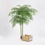 ARECA artificiel PALM DE LUXE x 2 troncs  210 et 240 cm