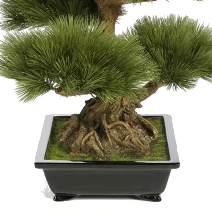 BONSAI artificiel PIN 70 cm - tronc