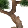 BONSAI artificiel PIN EN COUPE 70 cm - tronc