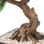 BONSAI artificiel PIN EN COUPE 70 cm - racines