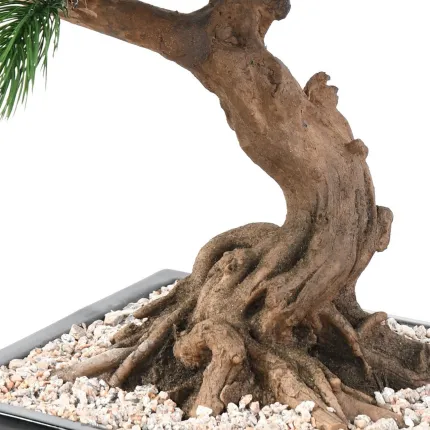 BONSAI artificiel PIN EN COUPE 70 cm - racines