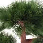 BONSAI artificiel PIN EN COUPE 70 cm - aiguilles