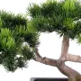 PIN BONSAI artificiel 22 cm - feuillage et tronc