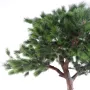 tronc PIN artificiel AUTRICHE TETE  280 cm - feuillage