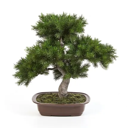 BONSAI pin artificiel  48 cm