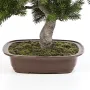 BONSAI pin artificiel  48 cm - coupe