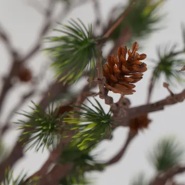 PIN artificiel 90 cm en détails