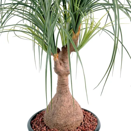 BEAUCARNEA artificiel  75 cm - tronc pied d'éléphant