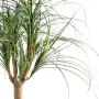 BEAUCARNEA artificiel  125 cm - feuillage