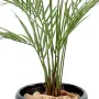 KENTIA artificiel NEW PALM 150 cm - tiges
