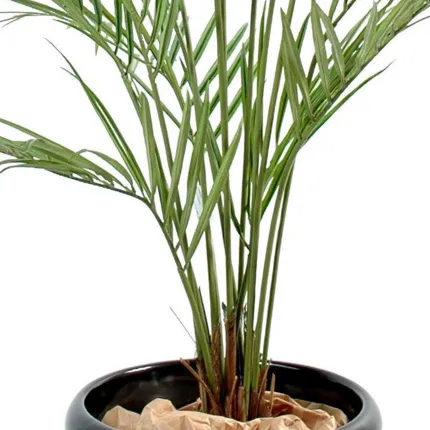 KENTIA artificiel NEW PALM 150 cm - tiges