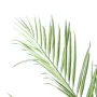 KENTIA artificiel NEW PALM 150 cm - feuille détails
