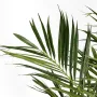 KENTIA artificiel NATUREL PALM  DE LUXE 225 cm - palme