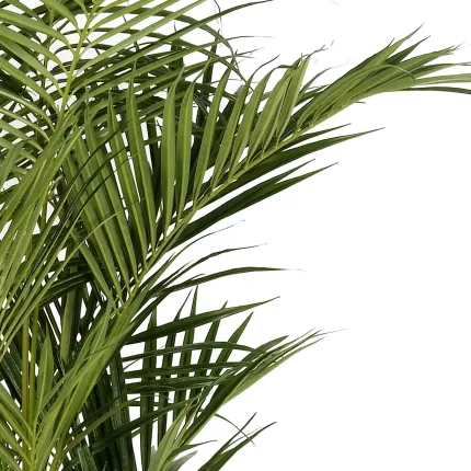KENTIA artificiel NATUREL PALM  DE LUXE 225 cm - feuillage