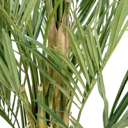 KENTIA artificiel ROYAL 270 cm - base