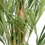 KENTIA artificiel ROYAL 270 cm - base