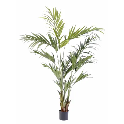 KENTIA artificiel 210 cm