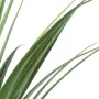 PANDANUS artificiel 95 et 140 cm - feuilles