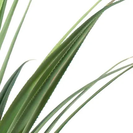 PANDANUS artificiel 95 et 140 cm - feuilles