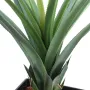 PANDANUS artificiel 95 et 140 cm - base