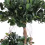 FICUS artificiel PANDA (microcarpa) 140 et 170 cm - feuillage
