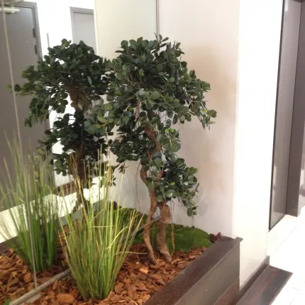 mis en situation feuilles et tronc FICUS artificiel PANDA 140 et 170 cm