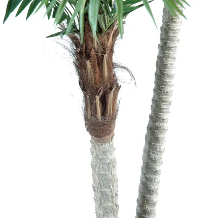 PHOENIX artificiel TROIS TRONCS 225 cm - tronc