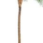 PHOENIX artificiel NEW 190 à 220 cm - tronc