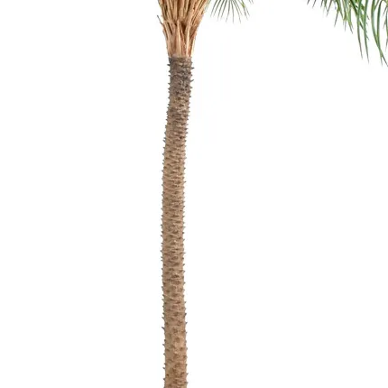 PHOENIX artificiel NEW 190 à 220 cm - tronc