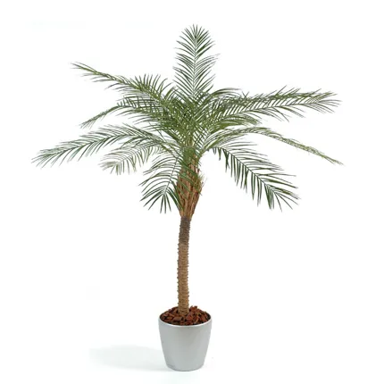 PHOENIX artificiel NEW 190 cm