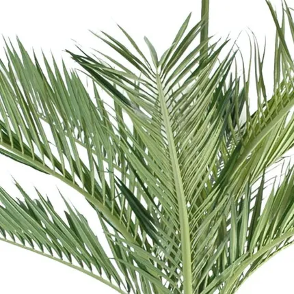 PALMIER artificiel BOUTEILLE 260 et 350 cm - palmes