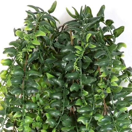 FOUGERE pelléa artificielle chute plastique vert - feuillage