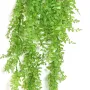 FOUGERE pelléa artificielle chute plast vert 80 cm - feuillage