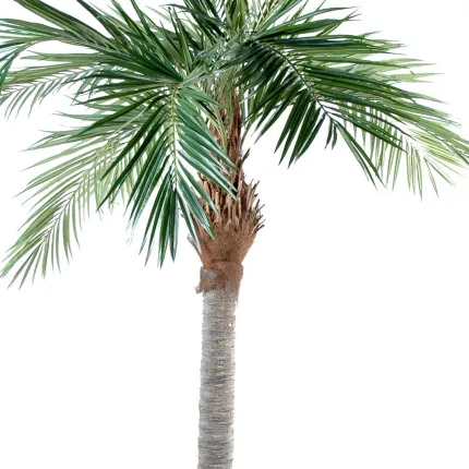 PALMIER artificiel MAJESTY 250 et 320 cm  - feuillage